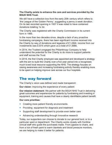 charity event report sample|FREE 10+ Charity Report Samples & Templates in MS Word.